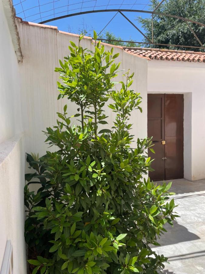 La Casita De San Nicolas Granada Exterior photo